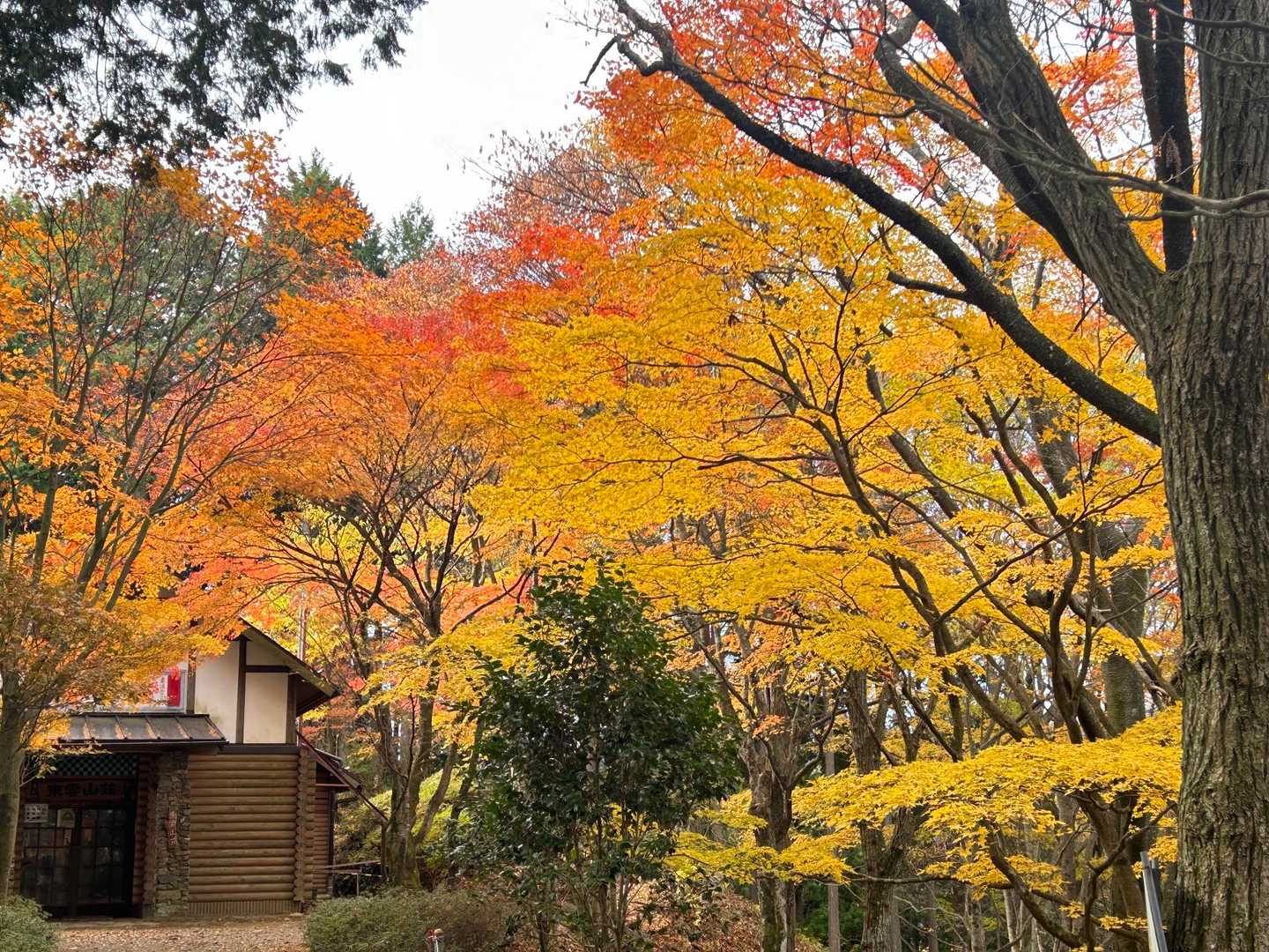 少し降りたところ、綺麗でした。