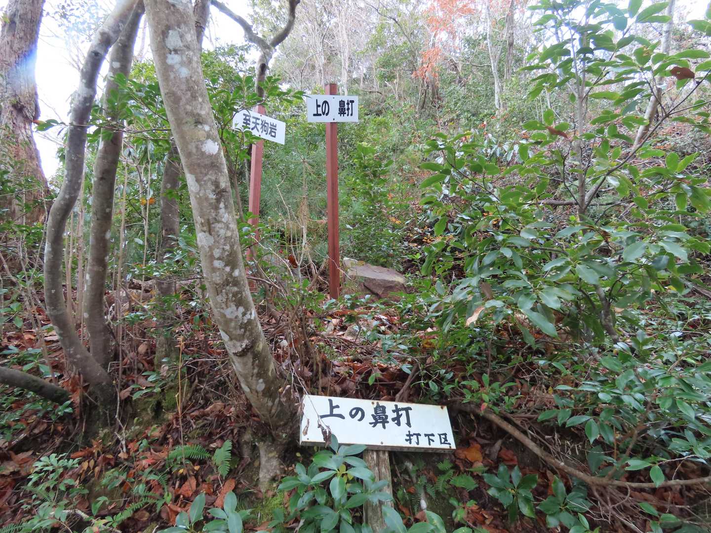 岳山-鳥越峰-見張山 縦走コースの写真