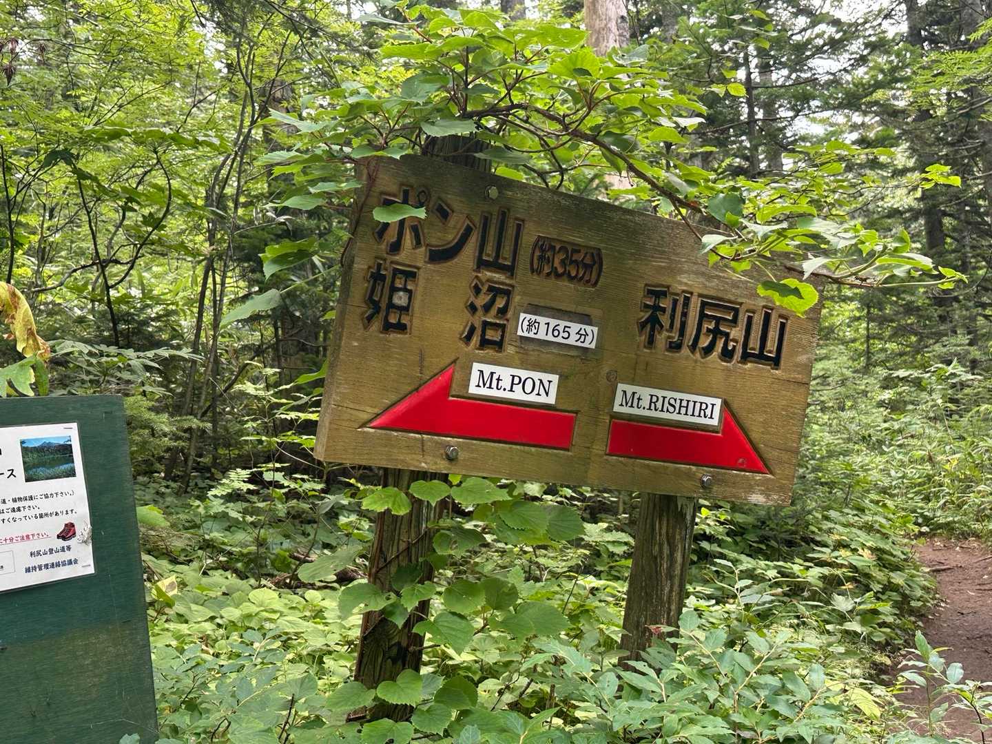 右に行くと利尻山😠←気合いを入れてる顔
でも左へ。