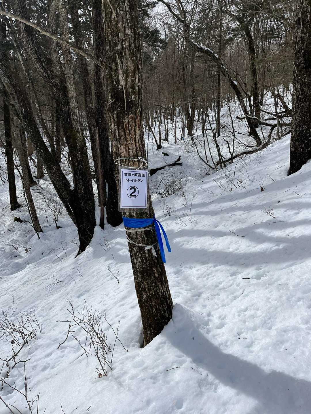 秋にはこのお山はトレラン大会が開かれてます
この辺りに来るともうズボッズボッ状態です。