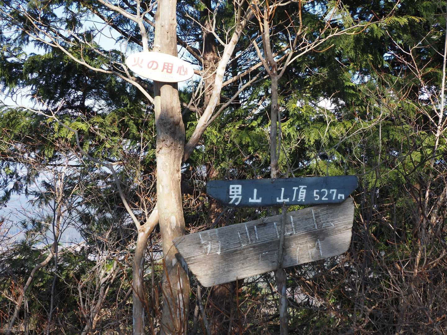 男山🗻