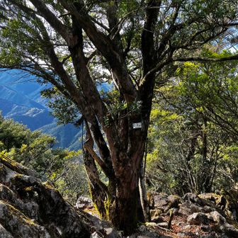 白倉山の表示もある