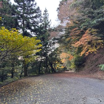 5合目の登山口駐車時🅿️
レポにはここまでの道路は通行止めとありましたが、下山時にはクルマが2台停車してました。

ちなみに初回は私もここに駐車しました。