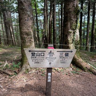 ダケモミの丘
肩が痛くてすでに疲労困憊