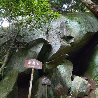 胎内石。そのむかし、神様がお休みになったところ、ということです。