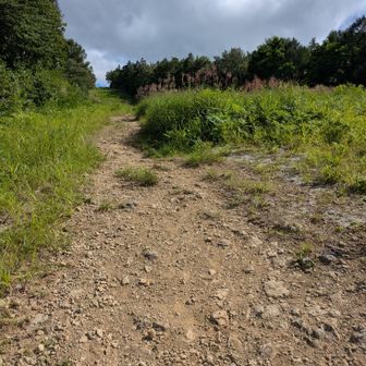 日差しが強い