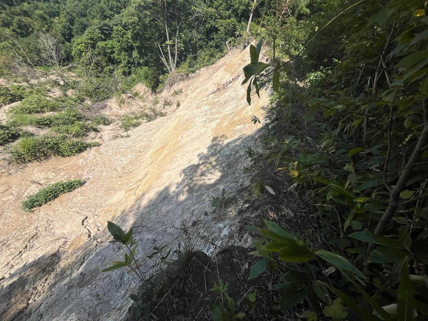 かなりの地滑り地帯😱
景色も開けているので足下注意⚠️