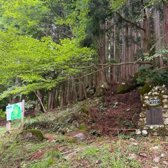 登山口につきました！