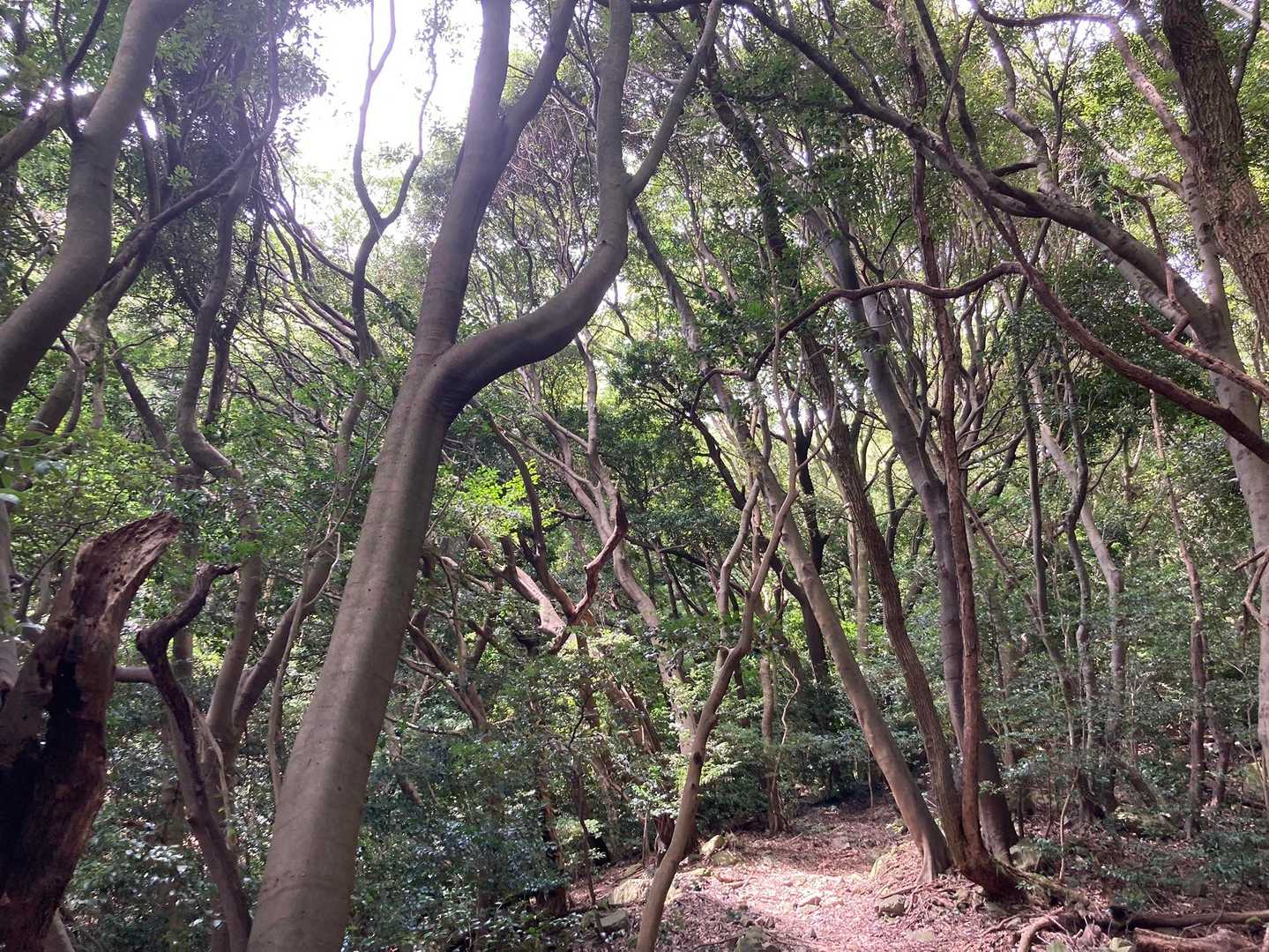 久しぶりの山の中！
虫も居なくて快適😊