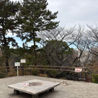 山手線内の最高峰箱根山、登頂です🙌