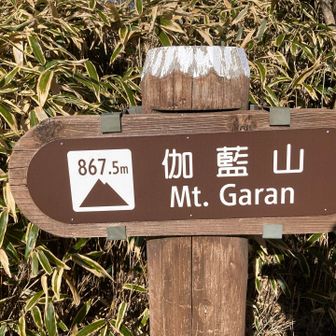 この山の奥で折り返し。