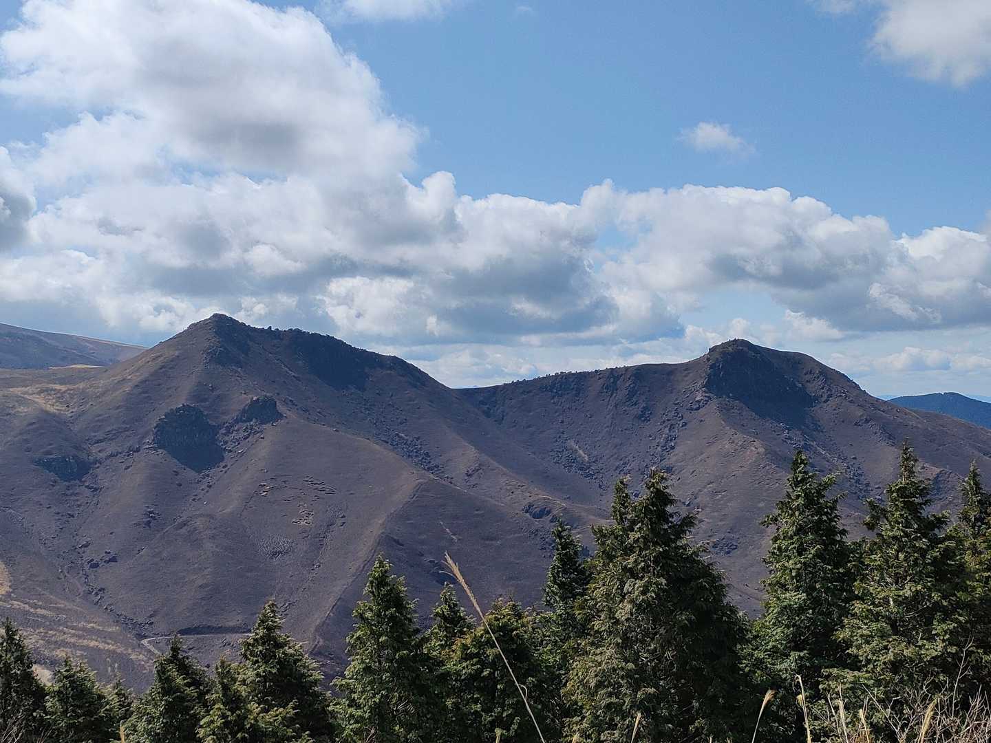 揺ヶ池コース登山口-俵山 周回コースの写真