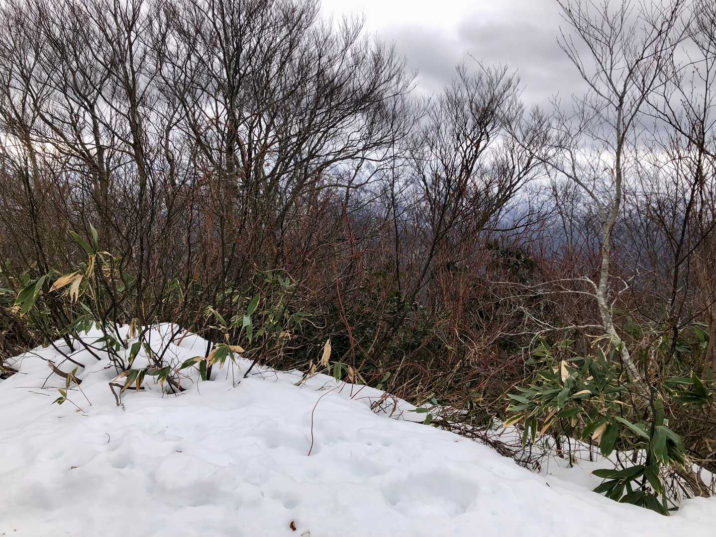 山頂到着　葡萄鼻山標識無し