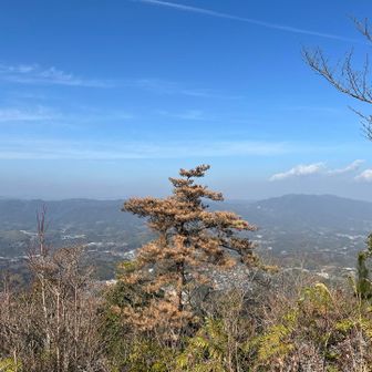 海とは反対側の眺望