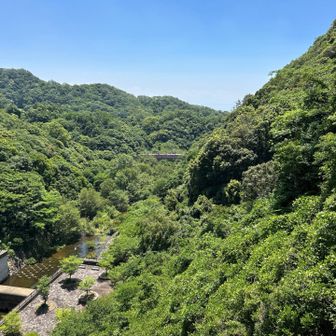 谷間を走る神戸電鉄。
ズームが間に合わず小さく写ってます。💦