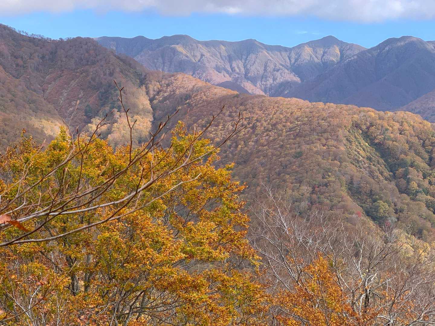 振り返り、大朝日岳と見間違った御影森山（右ピーク）