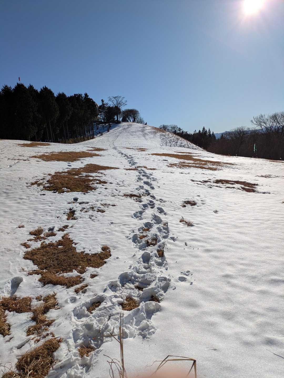 堂平山-七重峠-笠山峠-笠山 往復コースの写真