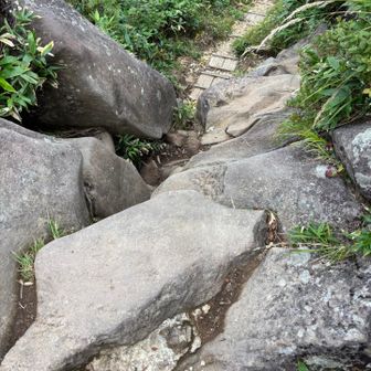 股スリ岩🪨