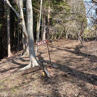 それっぽい道にでた