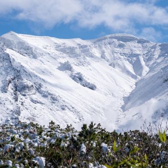 雪山はこわいけど美しいね