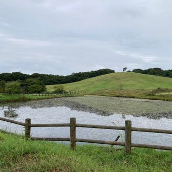 吾妻山のお池