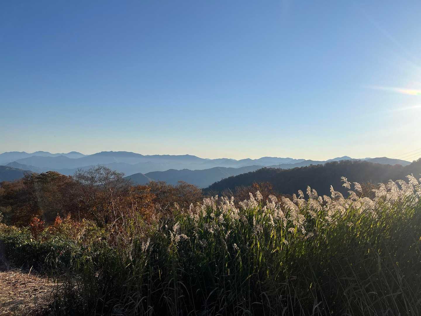 途中の秋めいた景色