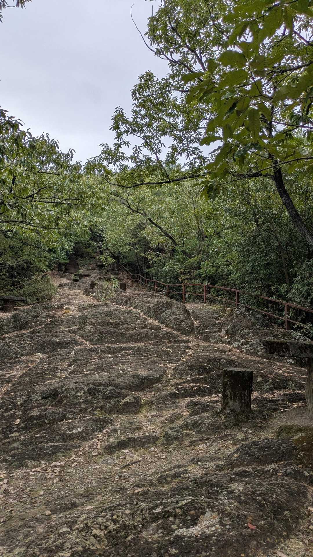 安桜山 周回コースの写真