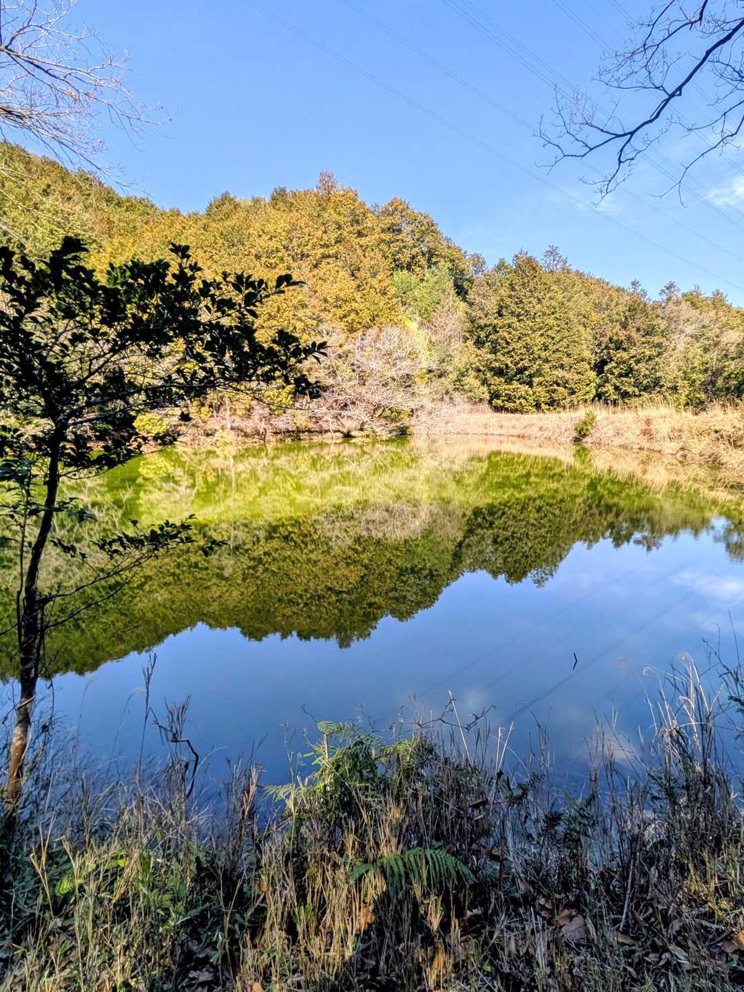長尾山 周回コースの写真