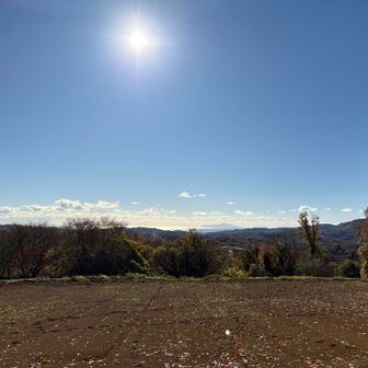 相模湾が見えた。