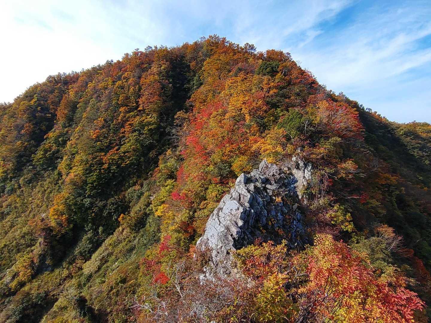 トッケ峰の紅葉🍁