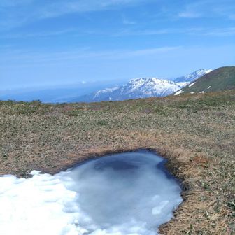 八海山の後ろは、真っ白な守門