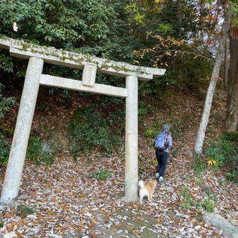 新庄山登り口から🚶