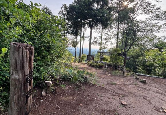草戸山（東京・神奈川・364m）| 登山ルート・天気 | YAMAP / ヤマップ