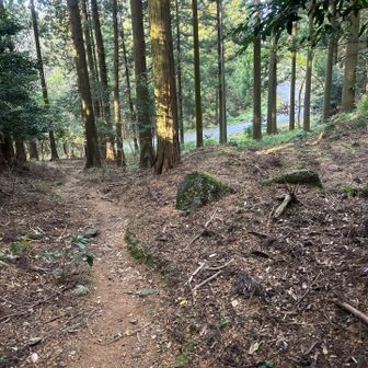 はい！！下山しましたが