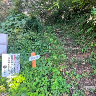 水野林道登山口より行ってきます