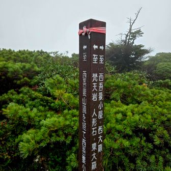 分岐