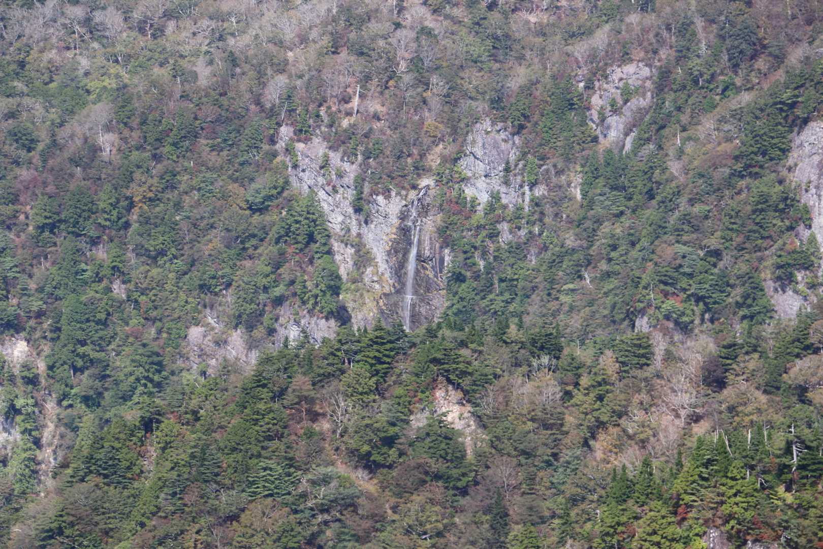 大台ヶ原バス停-大台ヶ原山-尾鷲辻-大蛇グラ 周回コースの写真