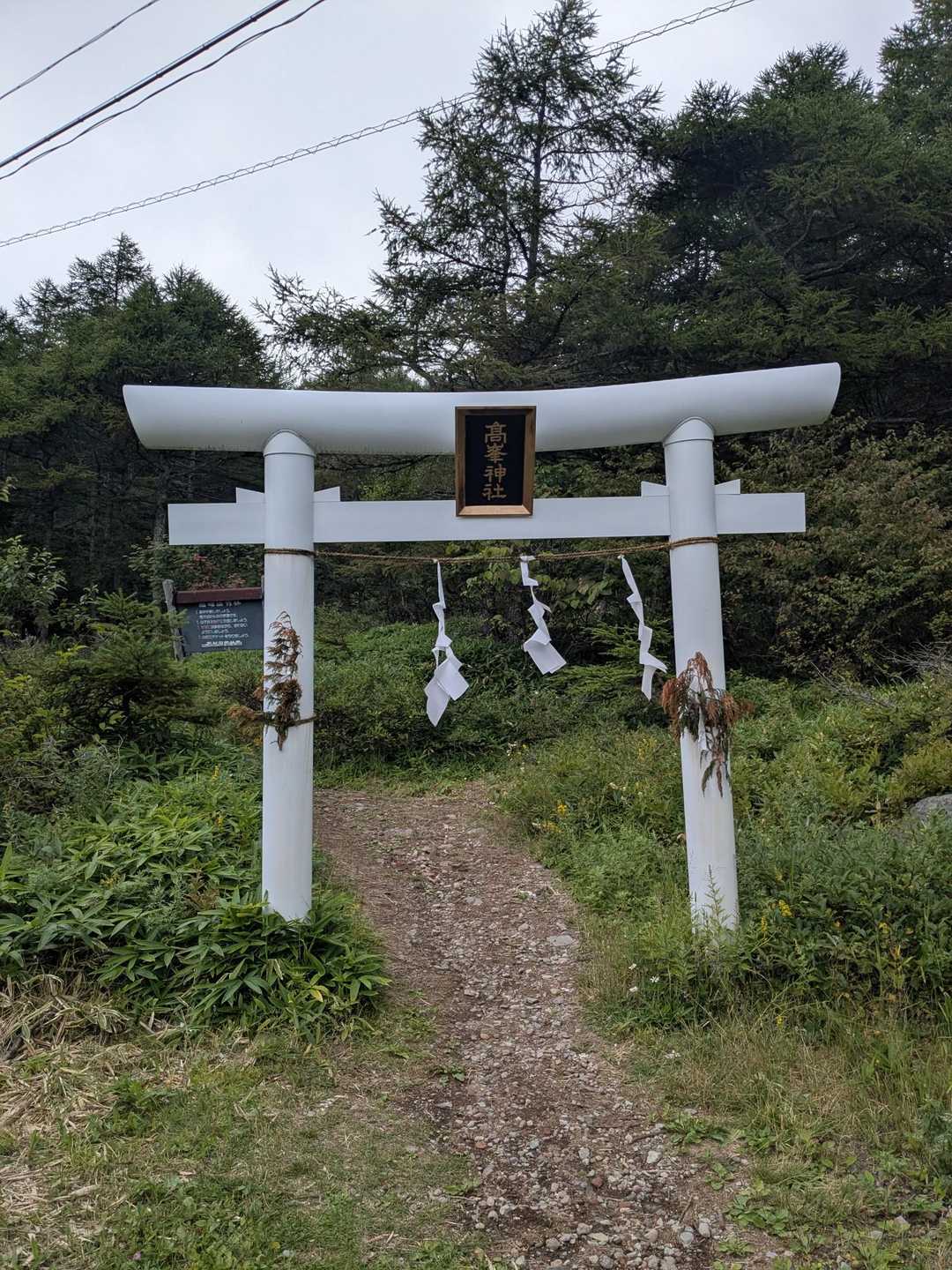 鳥居からスタート🚶