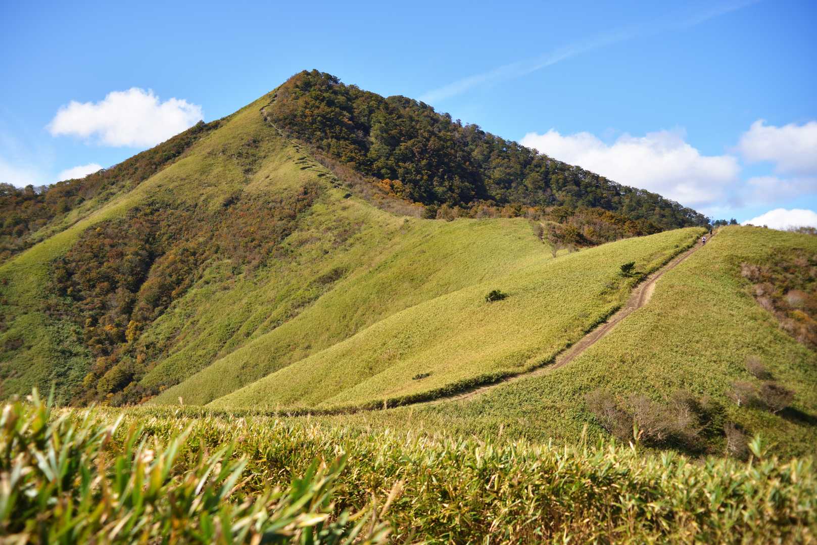 犬挾峠-下蒜山 往復コースの写真