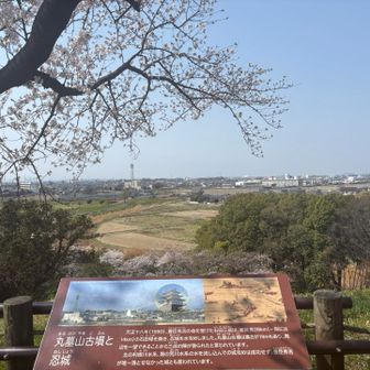 丸墓山は標高36m。
でも、周りに高い建物などが何もなくて見晴らしが良く、行田市内を一望できます。
写真だと分かりにくいですが忍城も見えました。