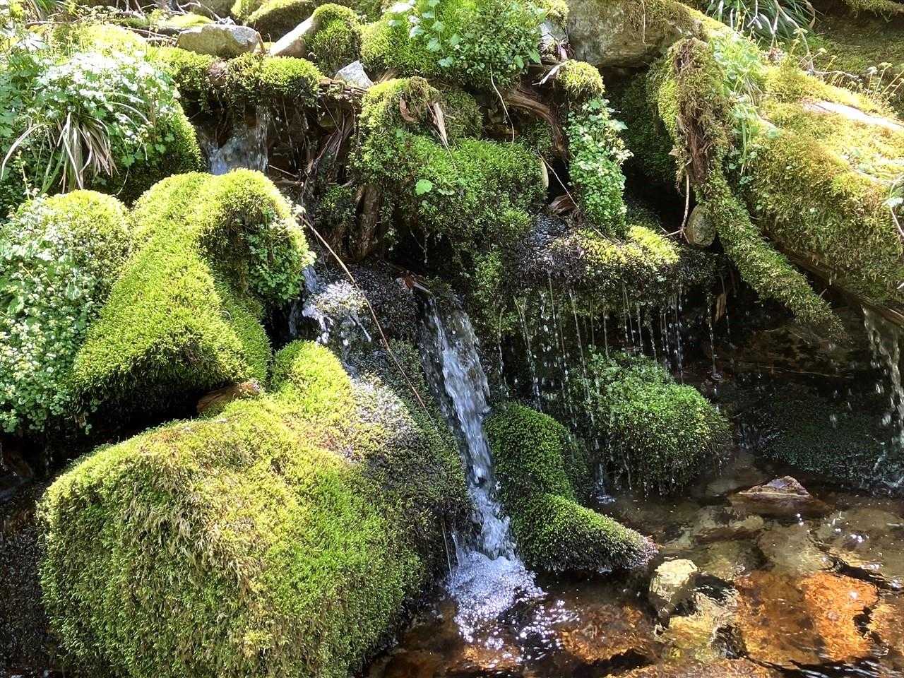 御前山 往復コースの写真