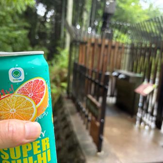 久しぶりの大倉尾根、やっぱり落ち着くな☺️
体調イマイチでもルーティンの下山の儀🍻はやらないとね😉