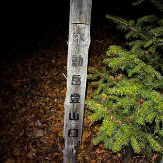 お出汁が不動岳登山口から登るのは？と
提案してくれたので、
夜も明けてきたし…と再トライ🫢