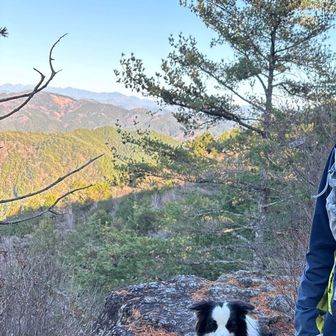 落ちるとやばいのでワンコが心配な・・