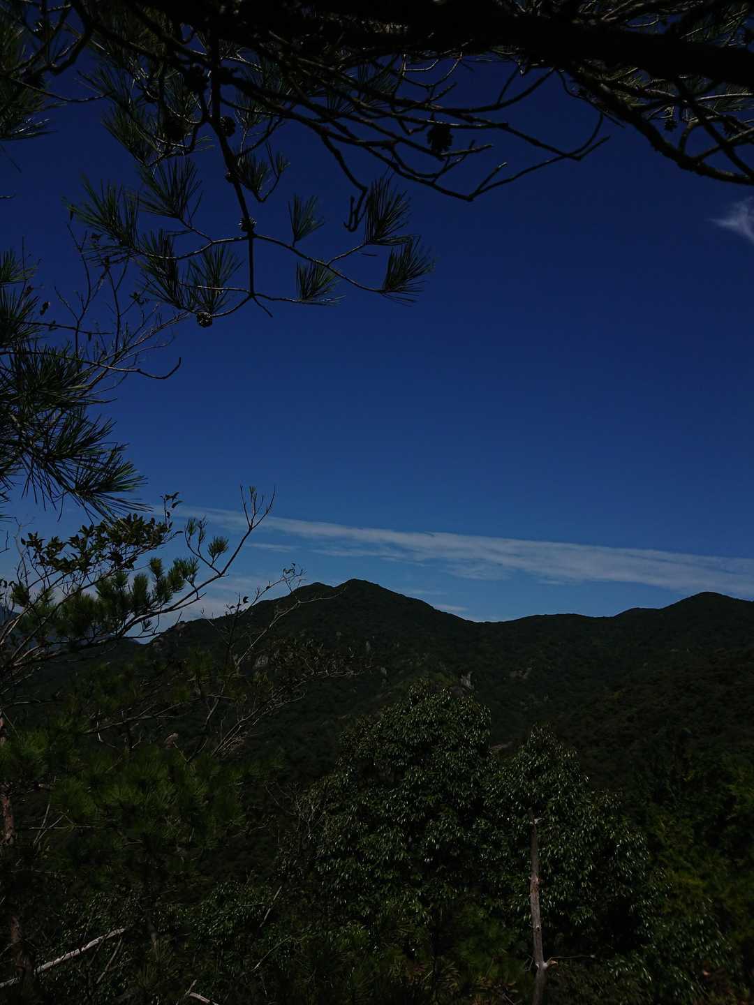 今日は有田ダムからの スタート 英山の登山口迄は そう キツく無いです
だいじょう Ｖ