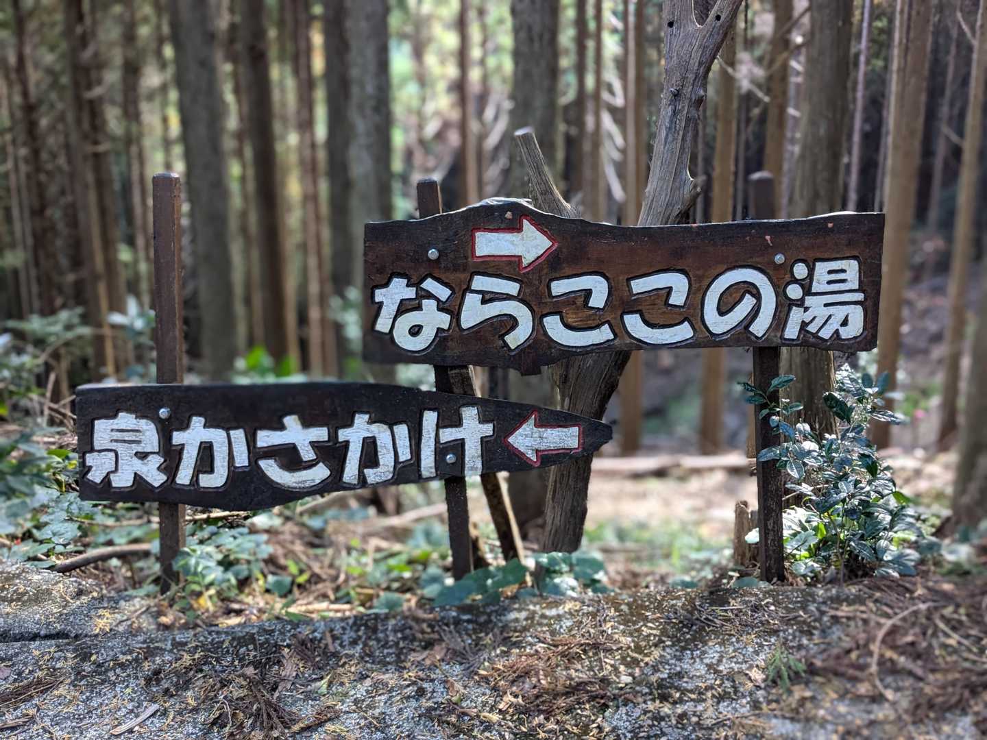 居尻バス停-大尾山 周回コースの写真