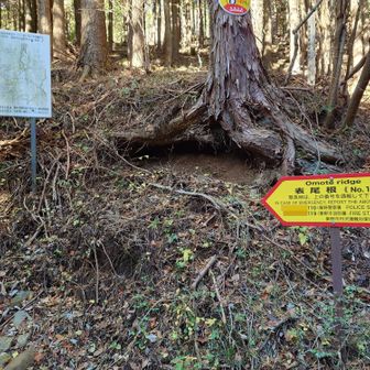 表尾根のNO1