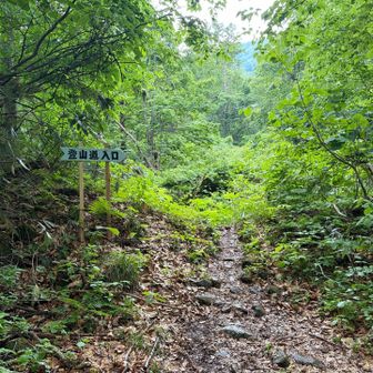 また、雨が降りそうだったので、一目散に下山しました