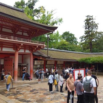 今日は北の若草山・東大寺二月堂方面へは歩かず、南門から退出しました🙏
