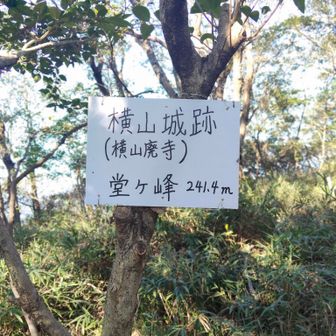 4座目▲堂ヶ峰